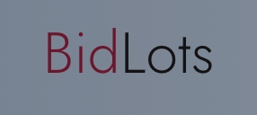 BidLots